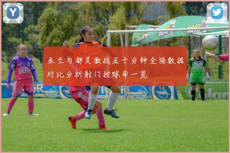 米兰与都灵激战五十分钟全场数据对比分析射门控球率一览